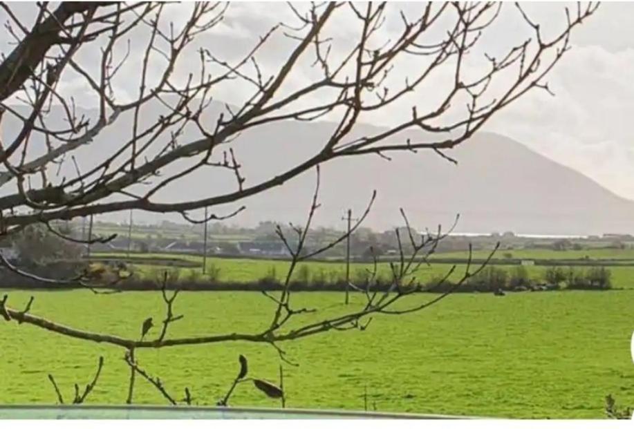 St Martins Old Schoolhouse Ballyroe Tralee Exterior photo
